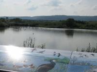 /Touren/DiverseRadwege/HohenloheOstalb/IMG_8648.jpg