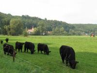 /Touren/DiverseRadwege/HohenloheOstalb/IMG_8764.jpg